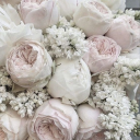 ᴋᴇᴠᴠ 𝗩𝗮𝘂𝗹𝘁 ☆ Discord server icon