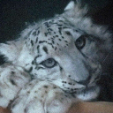 🖌- ,, Art Market Discord server icon