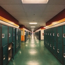 𝑴𝒖𝒔𝒌𝒐𝒌𝒂 𝑯𝒊𝒈𝒉-𝑺𝒄𝒉𝒐𝒐𝒍 Discord server icon