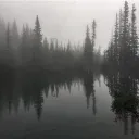 466 Discord server icon