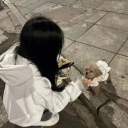 ✦Cottonwood's Paradise✦ Discord server icon