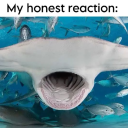 𓆏 Easeℓ of Drêåms 𓆏 Discord server icon