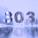 303