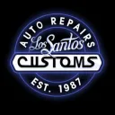 LsCustoms