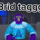 bird taggg