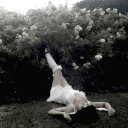 Ი𐑼 ྀིྀ     dollhearted Discord server icon