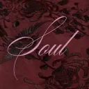 𝒮oul ⋆