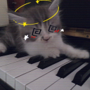 PianoSchooling Discord server icon