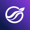 SUI Flow | Free WL Mint