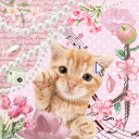 𐔌 . ⋮ 𝒦𝒾𝓉𝓉𝓎 𝒞𝒶𝒻𝑒 .ᐟ ֹ ₊ ꒱ Discord server icon