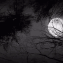 𝖦𝗁𝐨𝗌𝗍𝗂𝗇𝗀 Discord server icon