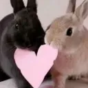 /indulgence Discord Server Icon