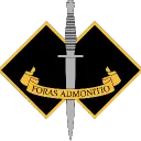 A' Company, 2nd Commando Regiment.