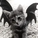 purgatory | social | hangout | friendly >_<