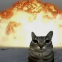 TIM MAHI MAHI Discord server icon