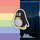 Linux ricing