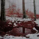 Bloody Snow ~ ❄
