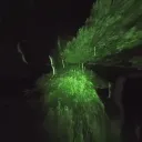 arcanoom L