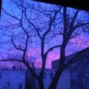 🍓 Strawberry shortcake 🍰