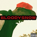 🩸𝙱𝙻𝙾𝙾𝙳𝚈𝚂𝙽𝙾𝚆™☠💉 Discord server icon