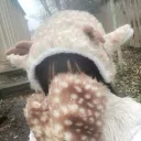♡﹐fawning