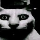 ₊˚ෆ 𝐎𝐅𝐅/ 𝐎𝐧𝐥𝐢𝐧𝐞 𝐟𝐫𝐢𝐞𝐧𝐝𝐬 𝐟𝐚𝐦𝐢𝐥𝐲 ෆ˚₊