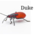 Super HAPPY lobotomies Discord server icon