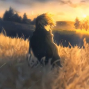 Vinland