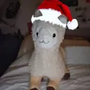 ⁀➴ Fan Club de Serge 🎄 discord icon