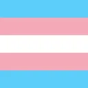 Yet Another Trans Server