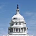 Get the Vote Government Simulator