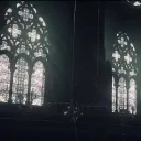 Gilded Teeth Sanctuary