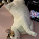 myshxllo's clerb