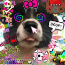 Scene Puppies .ᐟ 18+ | gws | games | woof