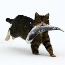 warriors: reignited Discord server icon