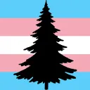 🌲 Cariboo | Terra Nostra
