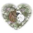 ★⋆ Lamb Sanctuary