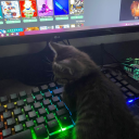 🎀 ꜱᴡᴇᴇᴛ ᴇꜱᴄᴀᴘᴇꜱ 🍭 Discord server icon