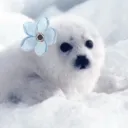 ⁺ ✧﹒frostყ sᥱᥲℓs 𓂅 ˚