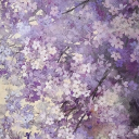 ‧˚꒰🐾୭ ˚. ᵎᵎ ִ ᴄᴀᴅᴀɴᴄᴇ ᴛᴜɴᴇꜱ ‧₊˚♪ 𝄞₊˚⊹ ₍^. .^₎⟆ Discord server icon