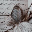 𝙼ᴇᴍᴏɪʀ 𝙰ʀᴄʜɪᴠᴇ { 🦋 }