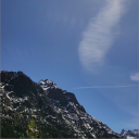 the washingtonians Discord server icon