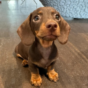 cozy café • safe space