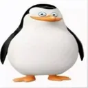 PigvinSMP