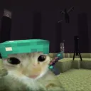 𝓢𝓱𝓪𝓭𝓸𝔀𝓥𝓮𝓻𝓼𝓮