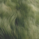 ★ Goading Adverts ✦ Discord server icon