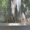 ꧁✦⊹ Electriс ✦ Advertiѕement ꧂ Discord server icon