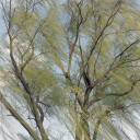 ☆・S̆̈P̆̈L̆̈Ă̈R̆̈・☆ Discord server icon