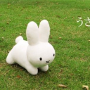 Gorillas in Top Hats 🎩 Discord server icon