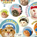 ϟ Supreme Z̶e̶l̶a̶r̶i̶ ✦ Discord server icon